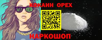 крисы Обь