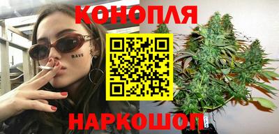 крисы Обь